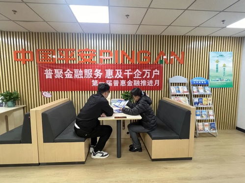 普聚金融服務 惠及千企萬戶——平安產險分支公司深入推進普惠金融推進月活動